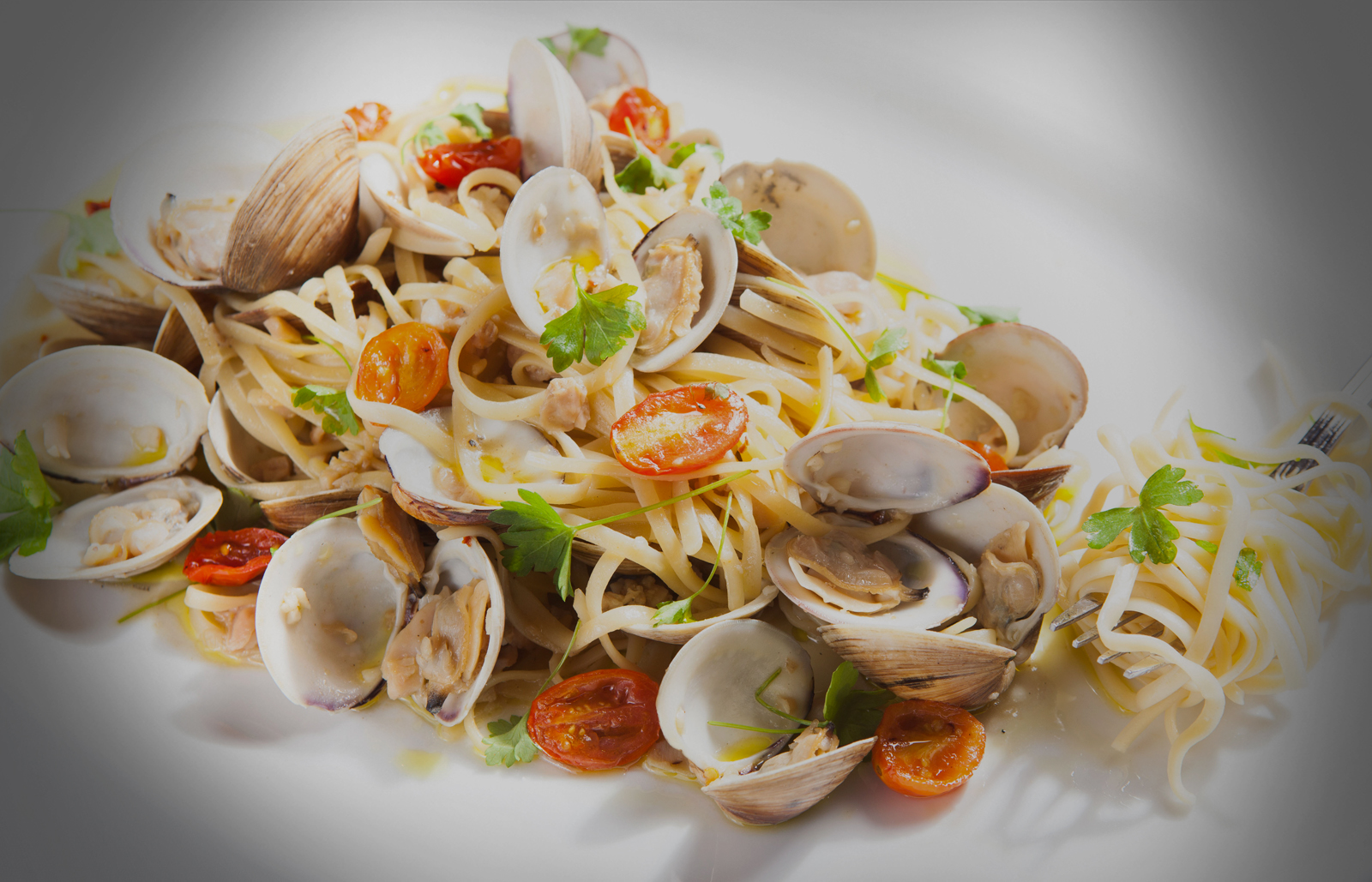 Best Italian Food Naples Fl Best Italian Food Naples Fl